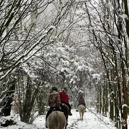 Дом отдыха Sowia Glaznoty